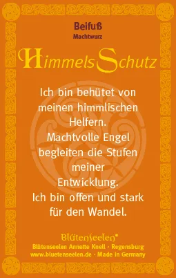 Beifuß