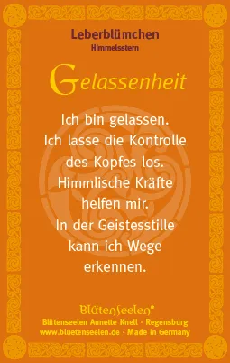 Leberblümchen