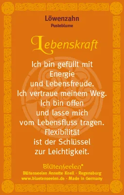 Löwenzahn