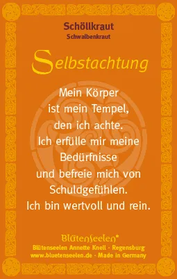 Schöllkraut