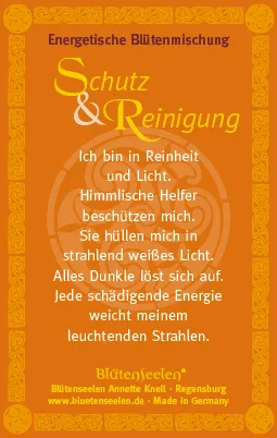 Reinigung Schutz